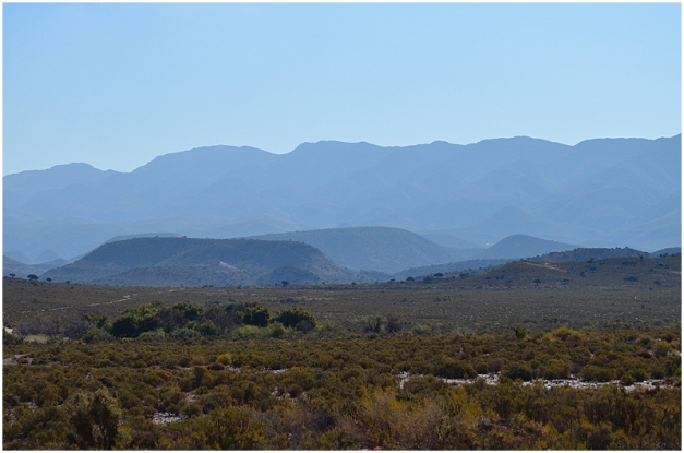 The Swartberg Mountains in the distance.