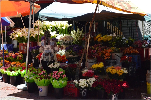 Flower sellers on Adderley Street. The flower sellers have been operating from this position for at least a century and form an integral part of Cape Town's attractions.